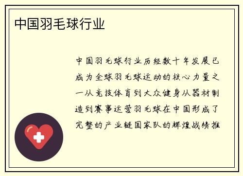 中国羽毛球行业